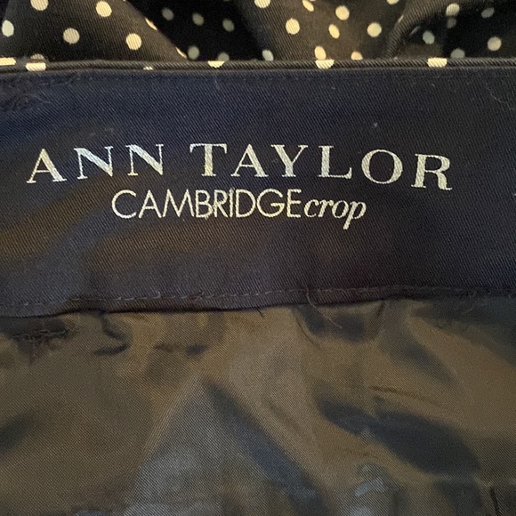Ann Taylor Cambridge Corp Navy White Polka Dot, Size 10 - Picture 5 of 8